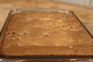 Ann Hollowell makes Blondies on The Cooking Lady
